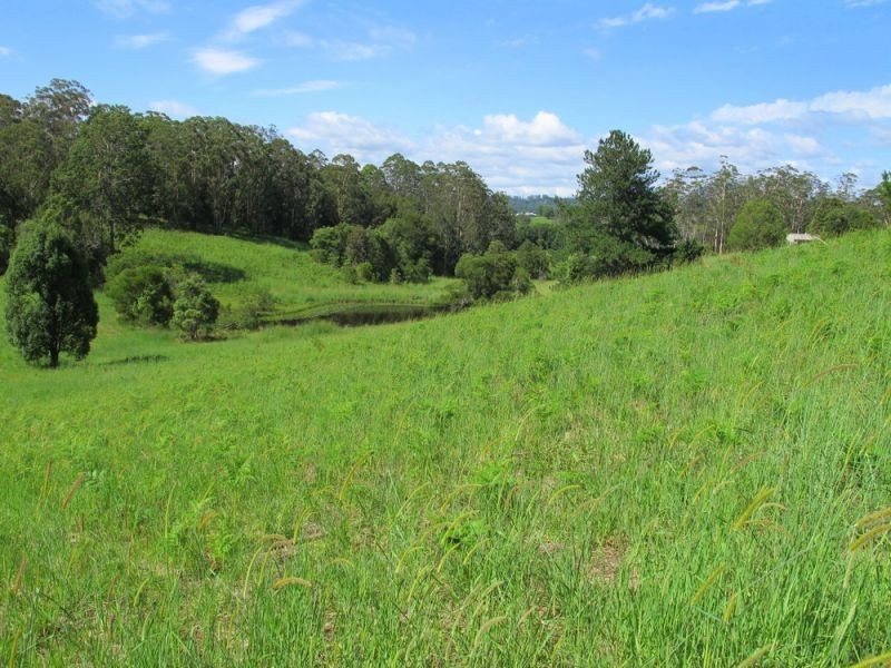 60 Reids Road, Bellingen NSW 2454