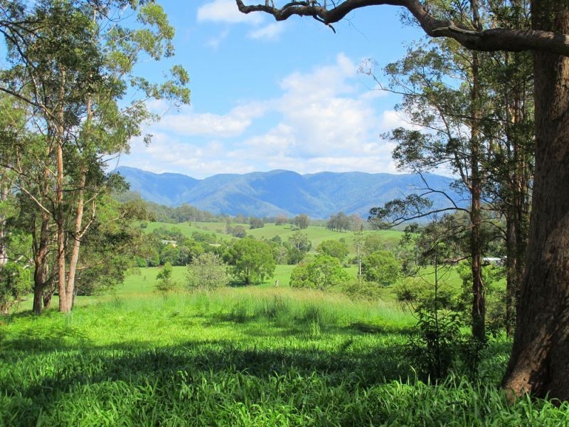 60 Reids Road, Bellingen NSW 2454