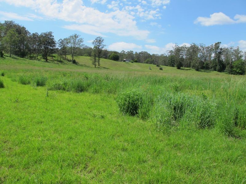 60 Reids Road, Bellingen NSW 2454