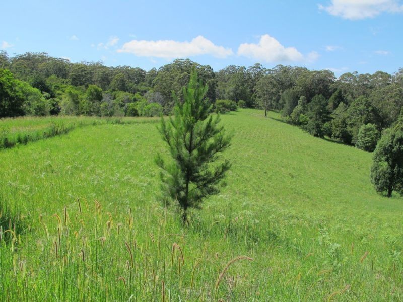 60 Reids Road, Bellingen NSW 2454