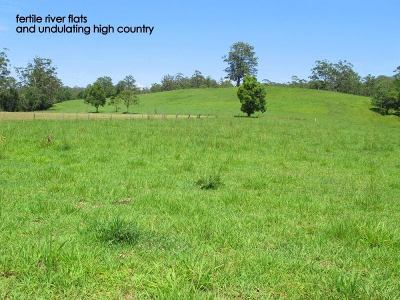 1316 Bowraville Road, Bellingen NSW 2454