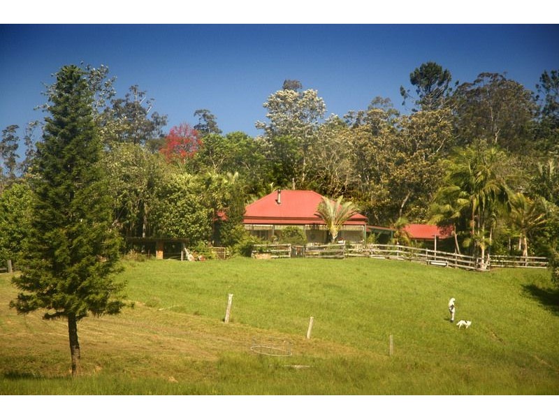 1316 Bowraville Road, Bellingen NSW 2454
