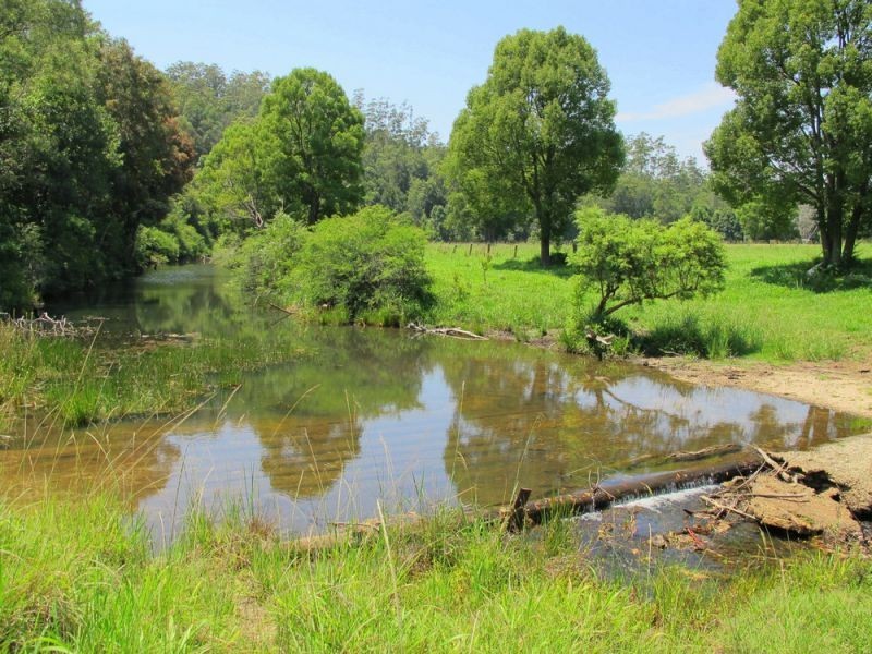 1316 Bowraville Road, Bellingen NSW 2454