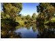 1316 Bowraville Road, Bellingen NSW 2454