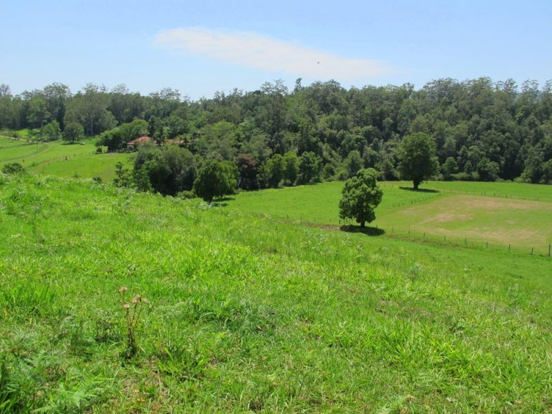 1316 Bowraville Road, Bellingen NSW 2454