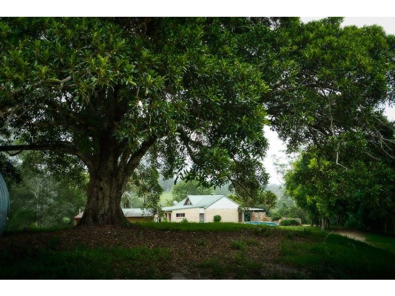 1650 Bowraville Road, Missabotti, Bellingen NSW 2454