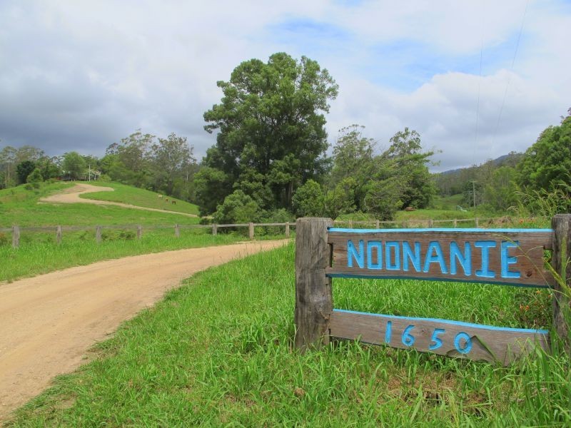 1650 Bowraville Road, Missabotti, Bellingen NSW 2454
