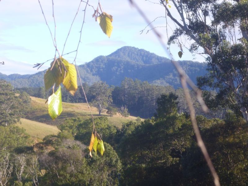 1650 Bowraville Road, Missabotti, Bellingen NSW 2454