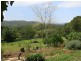 1385 Kalang Road Kalang, Bellingen NSW 2454