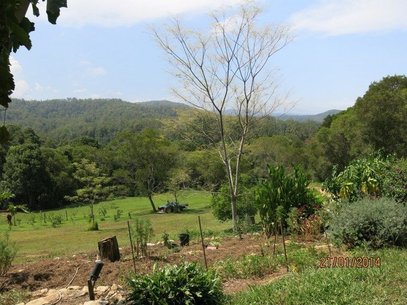 1385 Kalang Road Kalang, Bellingen NSW 2454