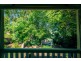 51a Lyon Street, Bellingen NSW 2454