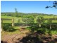 Bellingen NSW 2454