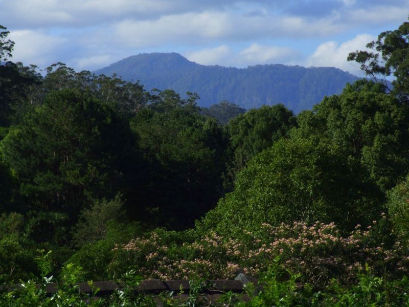 4 Mccristal Drive, Bellingen NSW 2454