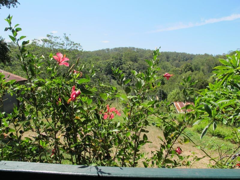 114 Kalang Rd, Bellingen NSW 2454