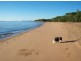295 Ocean Parade, Balgal Beach QLD 4816