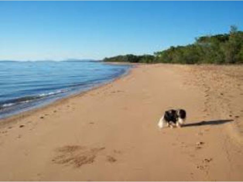 295 Ocean Parade, Balgal Beach QLD 4816