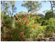 14 Darling Road, Jensen QLD 4818