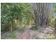 1 Romsey Court, Rupertswood QLD 4817