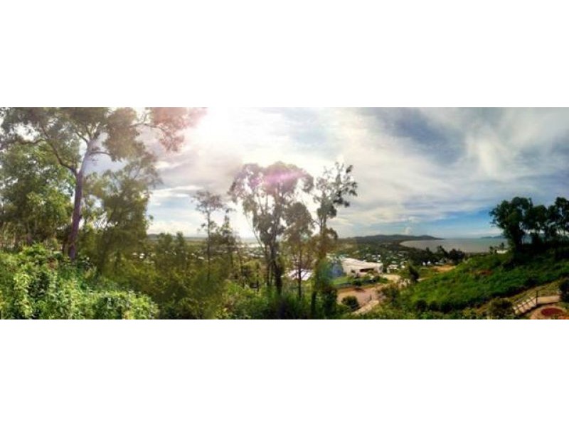 54 Yarrawonga Drive, Castle Hill QLD 4810