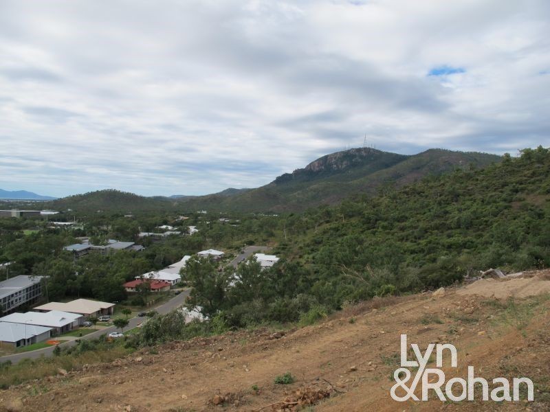52 Windarra Avenue, Douglas QLD 4814