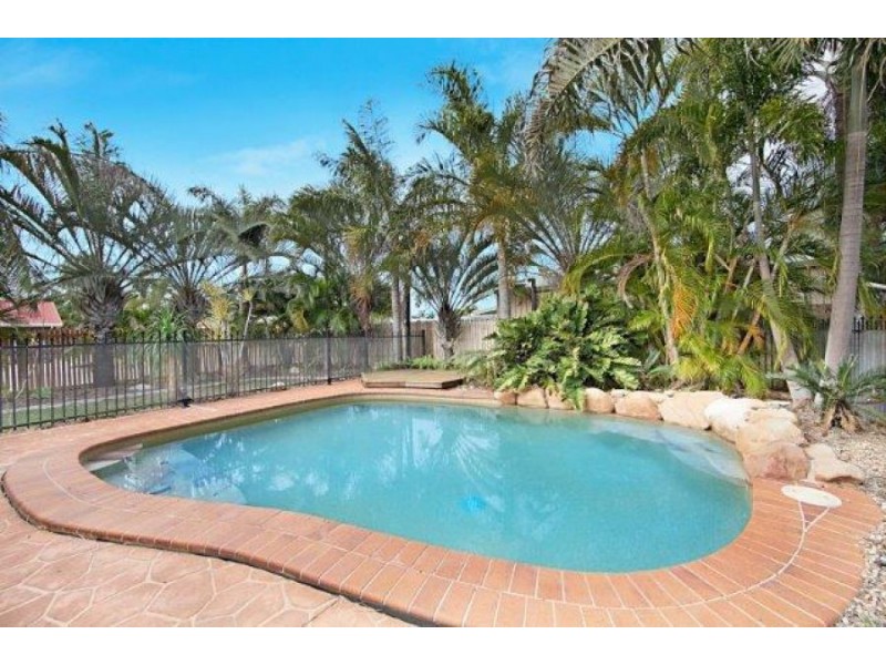 6 Tartan Pl, Rasmussen QLD 4815