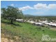 34 Windarra Avenue, Douglas QLD 4814