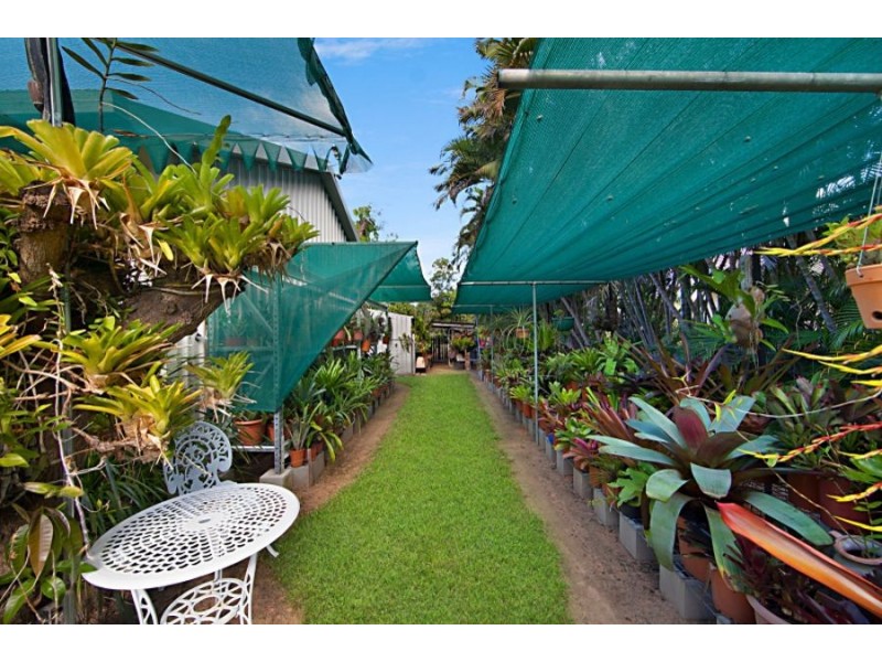 358 Forestry Road, Bluewater Park QLD 4818