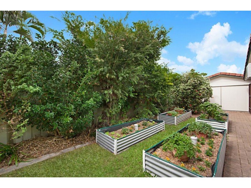 9 Norwich Court, Kirwan QLD 4817