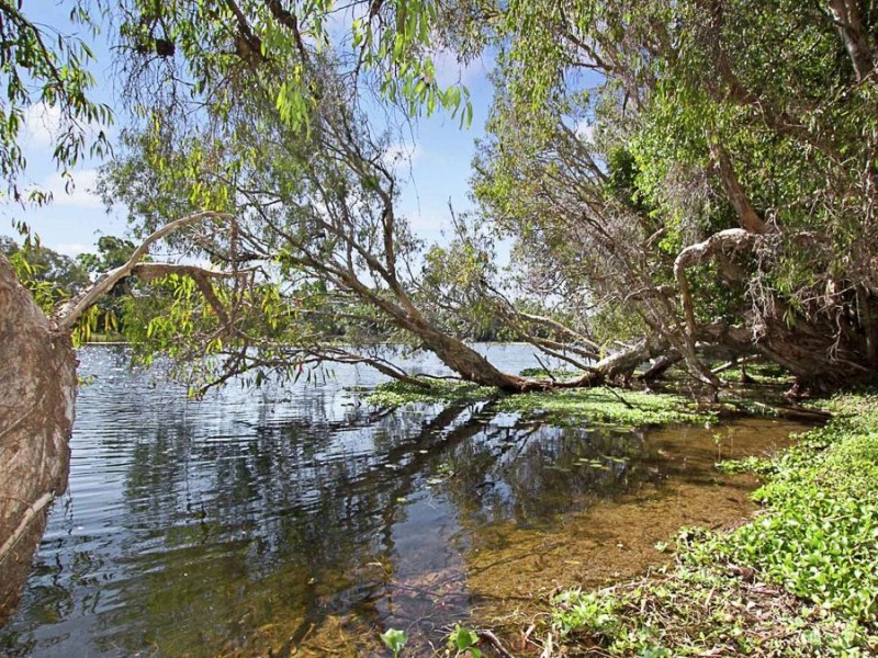 15/2 New England Court, Douglas QLD 4814