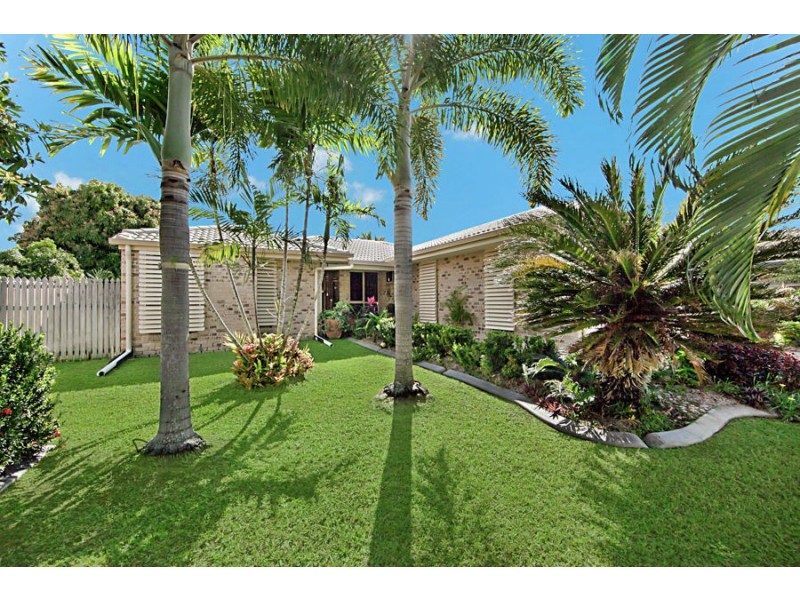 12 Finlay Court, Kirwan QLD 4817