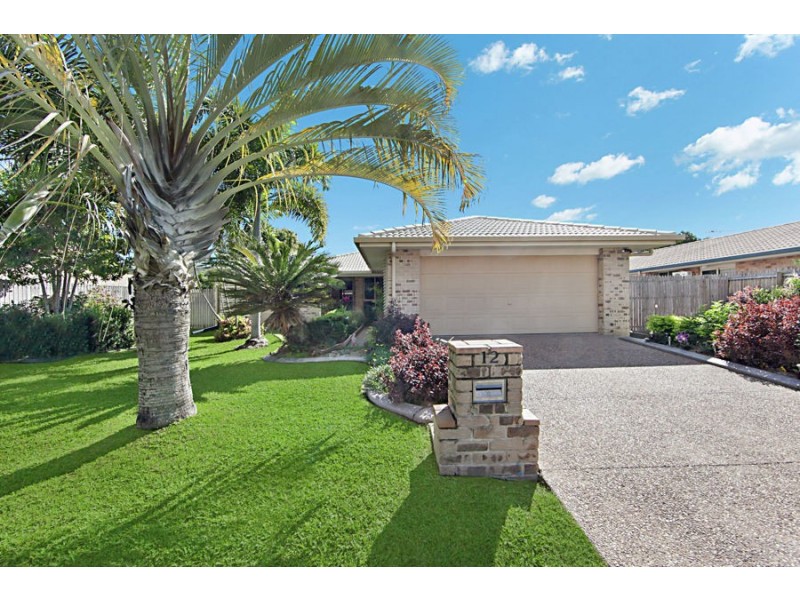 12 Finlay Court, Kirwan QLD 4817