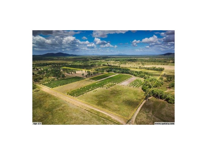 1232 Woodstock Giru Road, Mount Surround QLD 4809