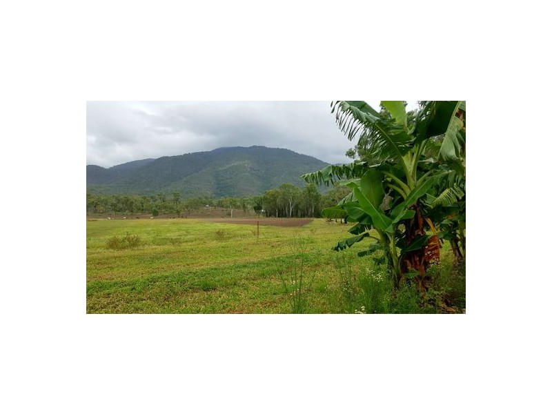 1232 Woodstock Giru Road, Mount Surround QLD 4809