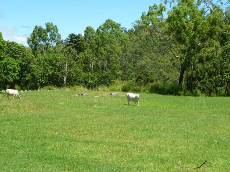 7 Heweys Place, Alligator Creek QLD 4816