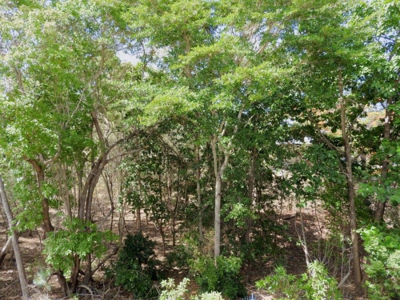 35/92 Regatta Crescent, Douglas QLD 4814