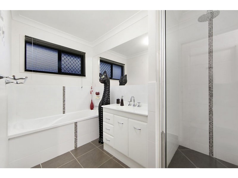 6 Redgum Court, Mount Louisa QLD 4814