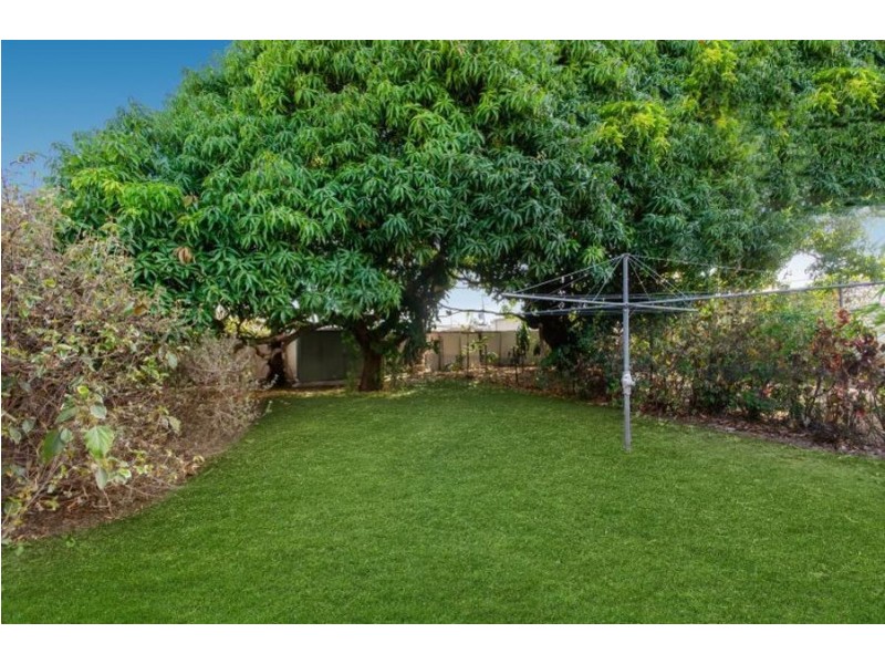 19 Wattle Street, Kirwan QLD 4817