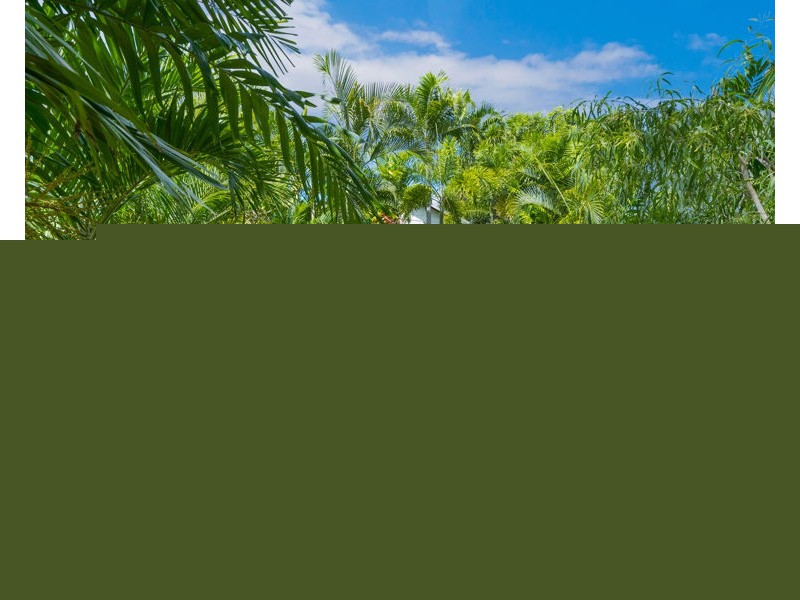 80 Carmody Street, Hermit Park QLD 4812