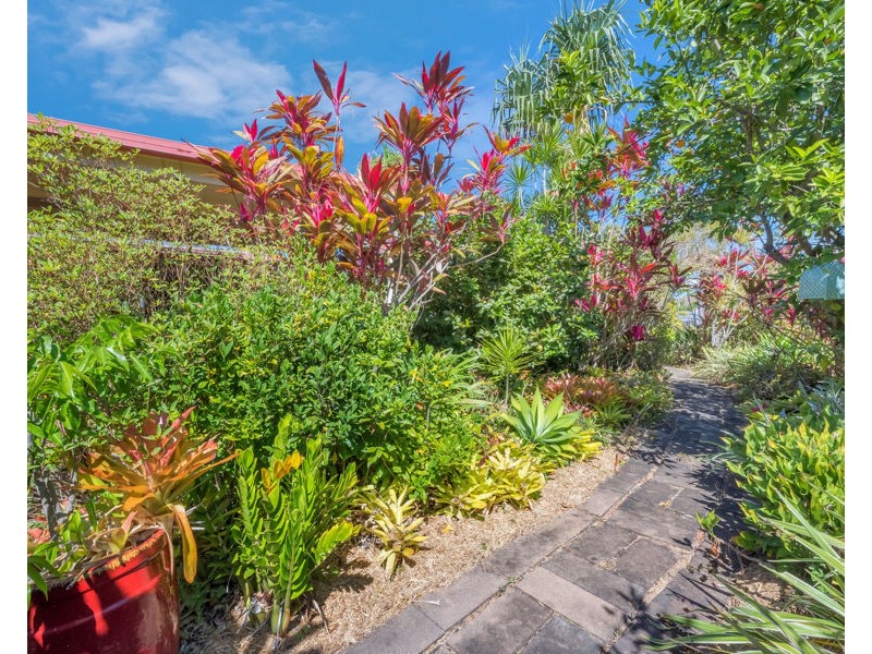 4 Pentas Court, Annandale QLD 4814