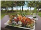 Airlie Beach QLD 4802