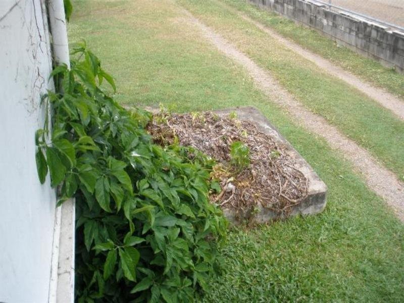 Hermit Park QLD 4812