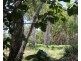 249 Hencamp Creek Road, Rollingstone QLD 4816
