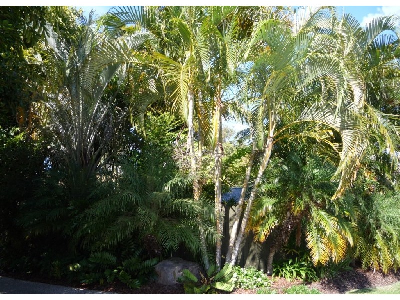 Maroochydore QLD 4558