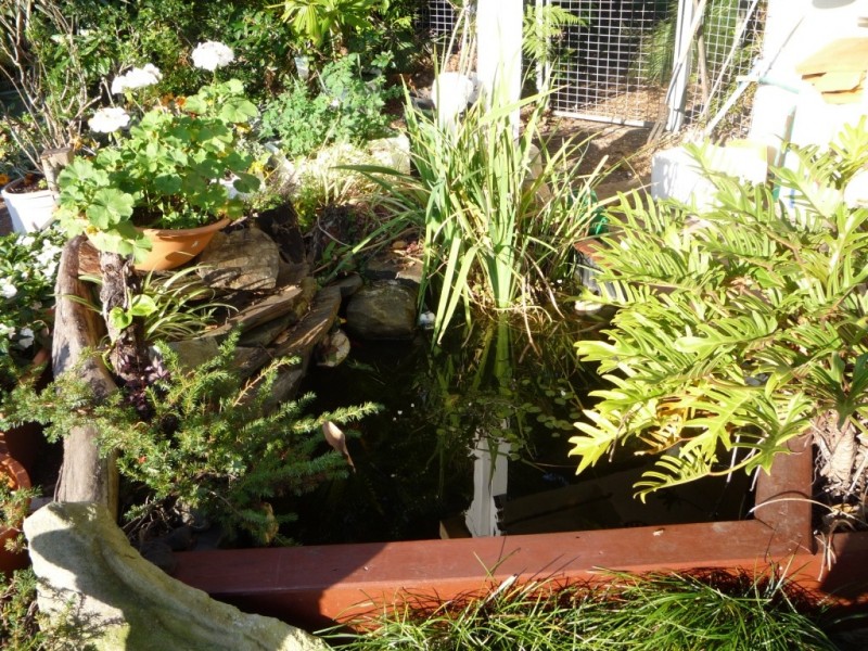 18 Cypress Street, Maroochydore QLD 4558