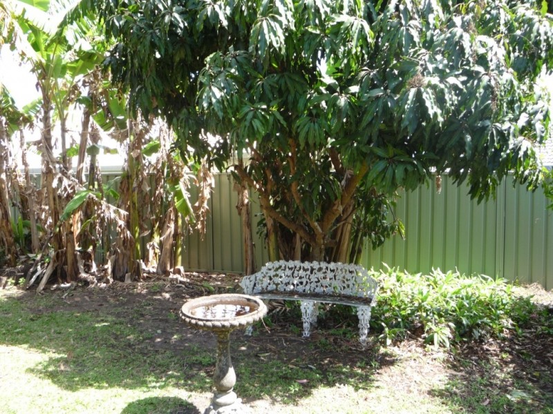 18 Cypress Street, Maroochydore QLD 4558