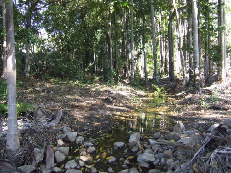 2/5 Bottlebrush Avenue, Bli Bli QLD 4560