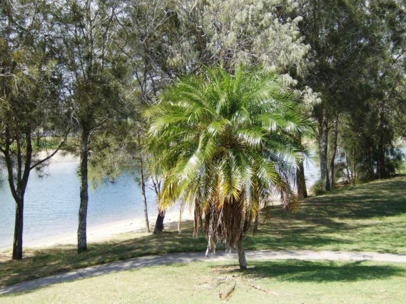 Bradman Avenue, Maroochydore QLD 4558