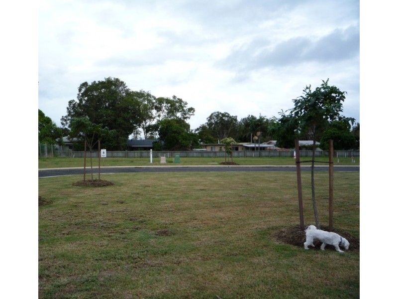 Lot 5 Trinder Avenue, Maroochydore QLD 4558