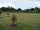 Lot 29 Trinder Avenue, Maroochydore QLD 4558