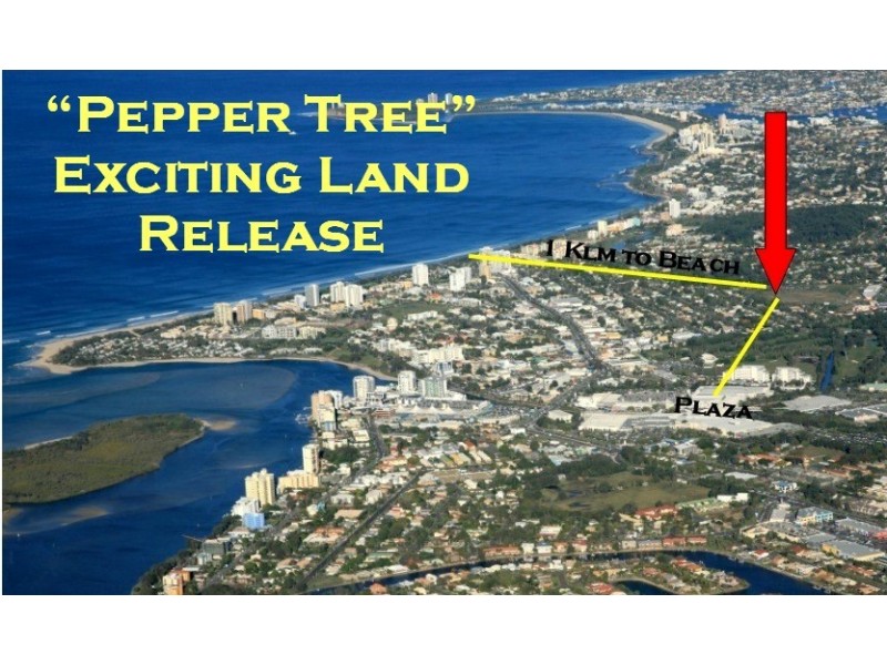 Lot 31 Trinder Avenue, Maroochydore QLD 4558